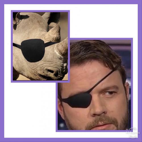 10C1FFFF-03EB-4BC5-B3CD-5DC06889B719