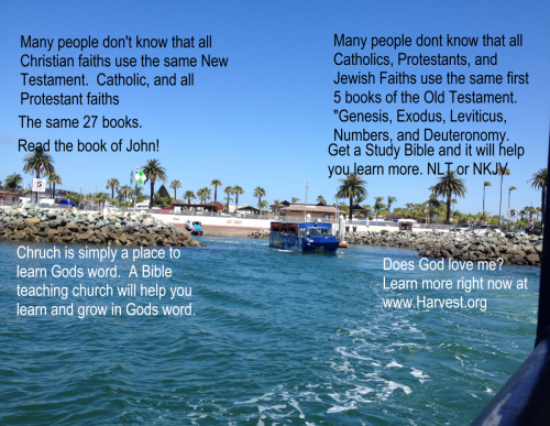 thebible2