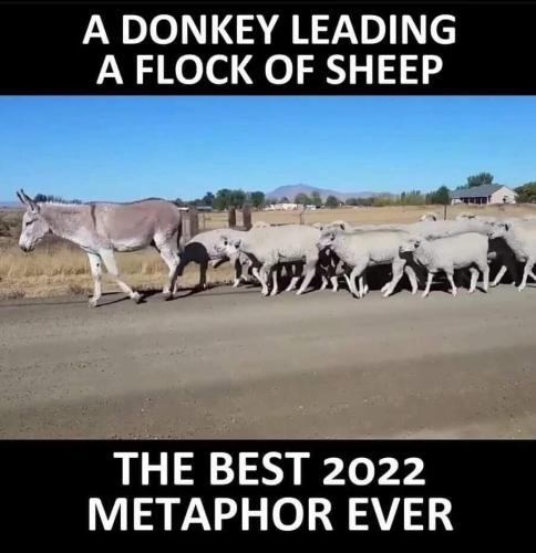 M best 2020 metaphor