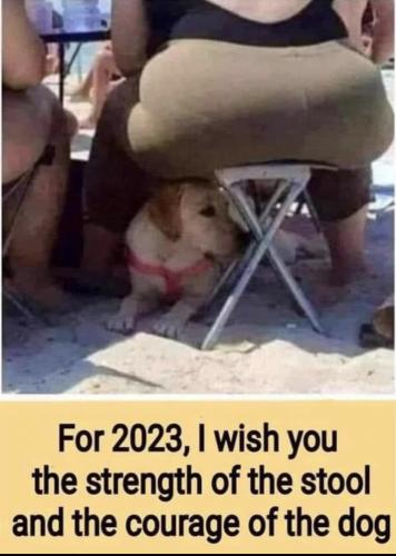 540AC2B2-C237-46CC-999A-335DBCA33A7F