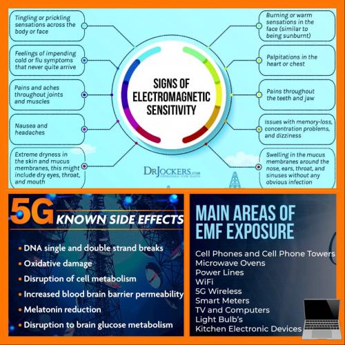 7F602F36-4410-4E12-97EA-F44BEEC70BBB