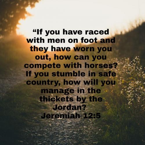 573fe9b2-8d34-4b42-b9ee-3034e9f20f16