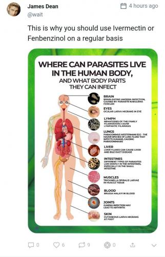 IMG_20230113_123949_445