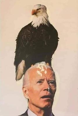 Biden, Bald Eagle -- Pooped on Him
