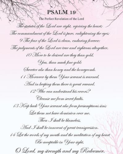 IMG_20230125_091534_687