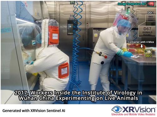 WuHan-Virology-Site-Experimenting-on-Live-Animals