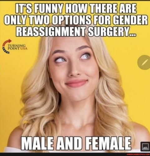 94d0cb19-6946-420b-bbc1-8f156a2be133