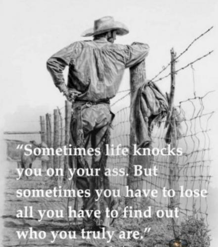 31e3b25a-37be-4e67-8db4-8bd8ecd39462