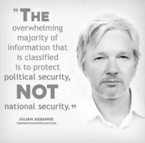 M Assange
