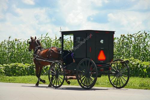 depositphotos_40004901-stock-photo-amish-carriage