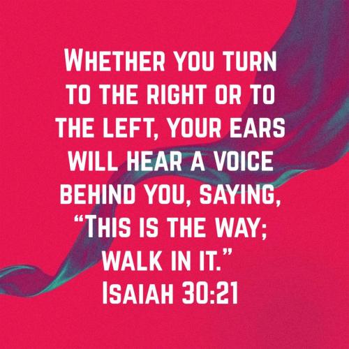 7ea45543-0e06-4b2d-a163-833fc114e3da