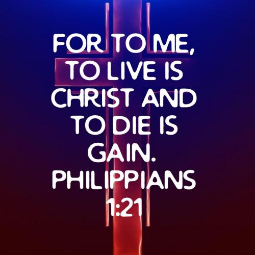 81f6e04e-3c55-4771-a354-c708d195d3e4