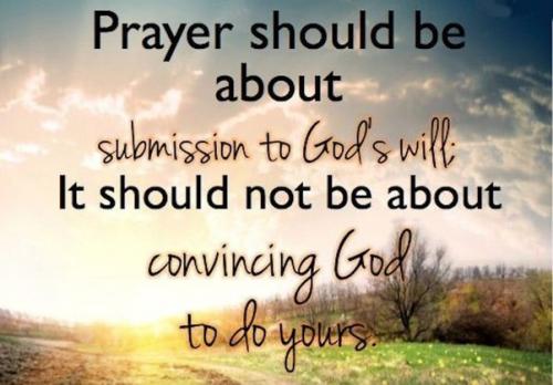 IMG_20230117_081319_174