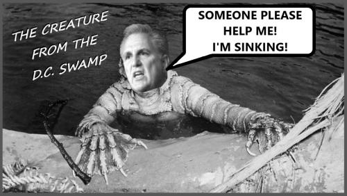 SWAMP MCCARTHY