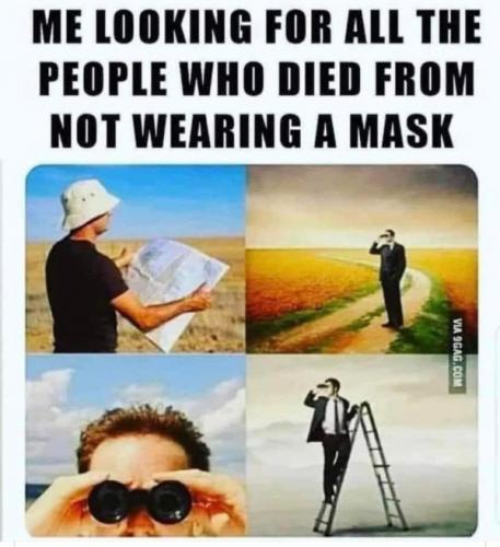 amvcgwmgpr7vsswzetcysm8a8cjcnbnk