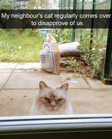 captures_chrome-capture-2023-0-19 (7)