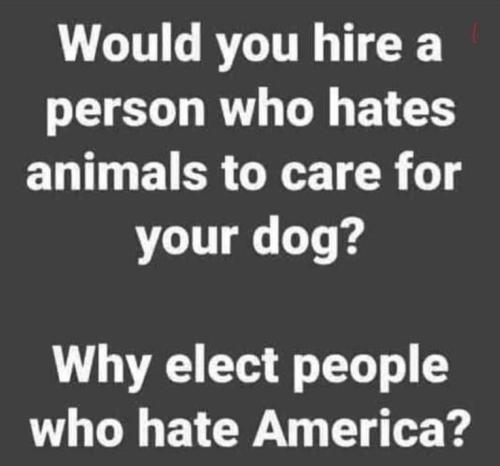 USA hire hate