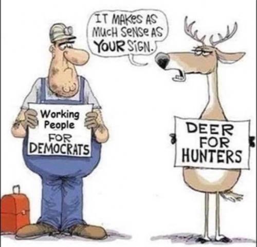 011423 - Deers for hunters
