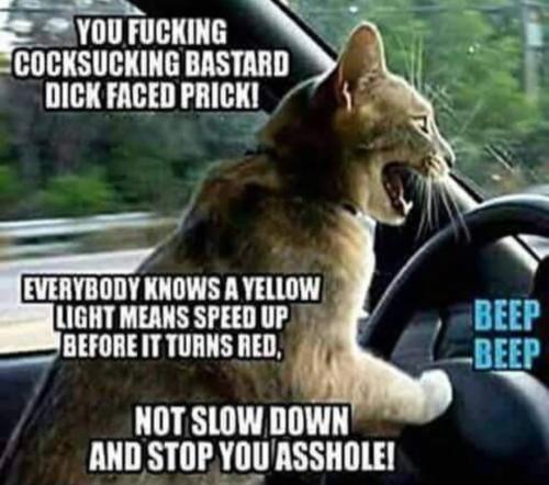 Screenshot_20230104-153531_Gallery