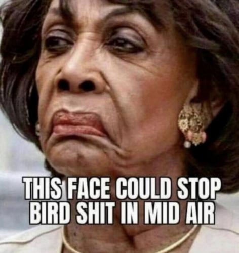 RO stop bird shit