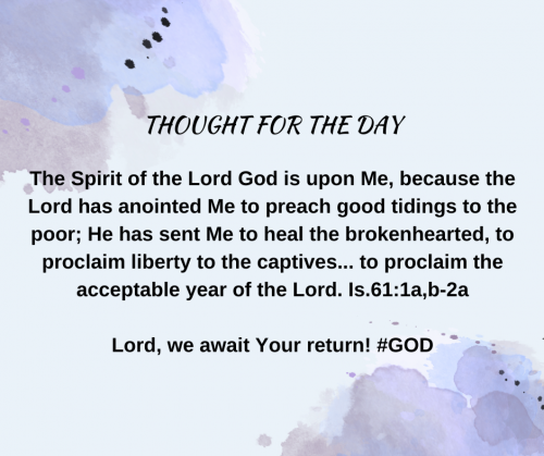 TWEET 1-16-23