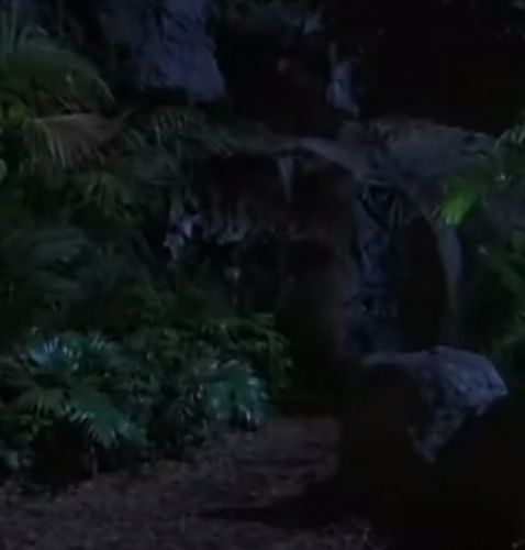 Screenshot_20230110-064949