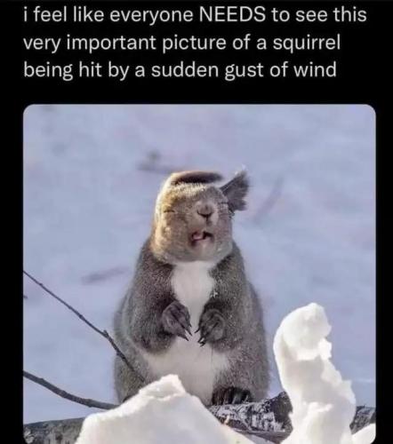 tumblr_e5a891f0296f6936fd0f4a8c15db7709_8acc7bef_640