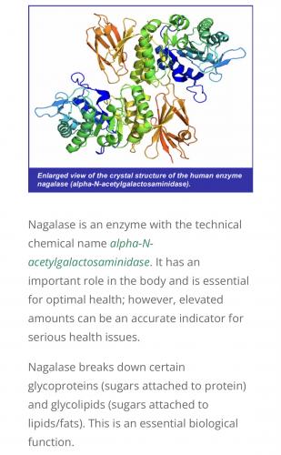 82D0BABE-98A7-478A-9C23-232C23B37BC9