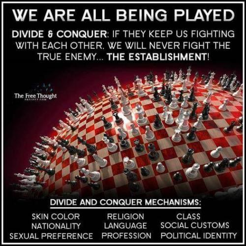 saul alinsky racecard