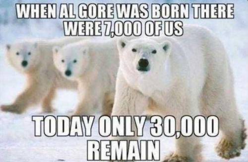 USA 7000