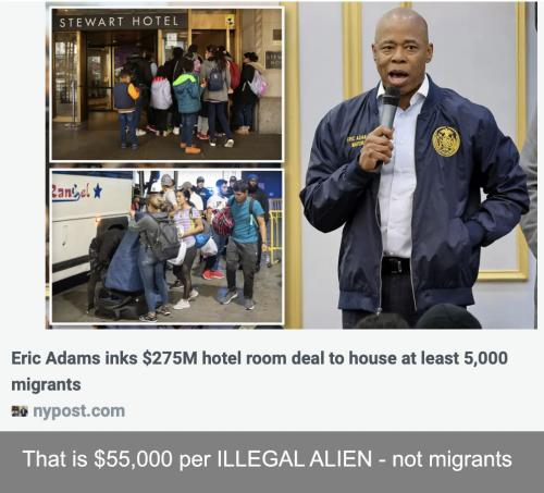 NYC 55K per illegal