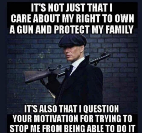 Dear Canadian - What is the leader of the liberal party motivation to stop Canadians to serve criminal in their castle some lead