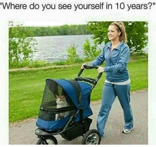 tumblr_a1f59d635fed75f78c6e5701040d6f1d_18c4be0e_1280