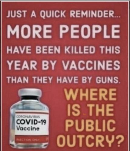 03b035e2-c432-447f-9ba5-64b1077b0611