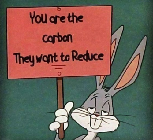 RO carbon