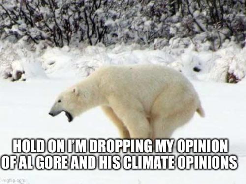 AL gore 3 - hold my opinion is coming