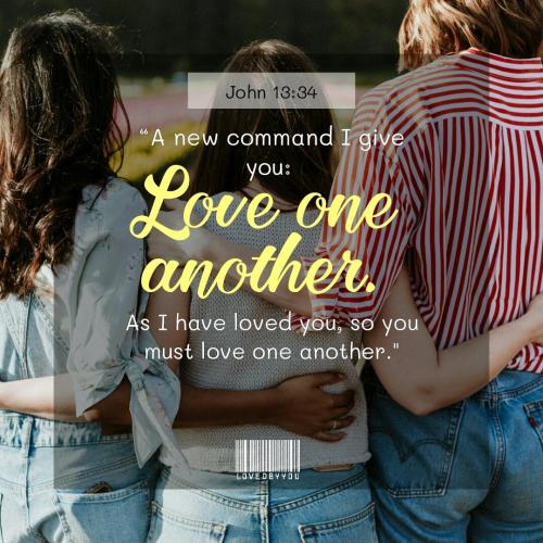 IMG_20230106_130228_888