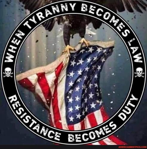 184bde3d-9aac-4bc1-a109-ae406527620b