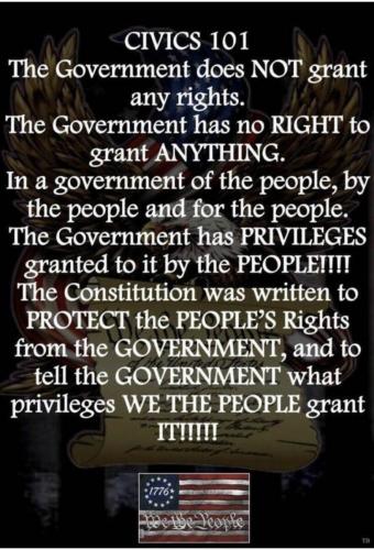 Constitution what WE grant