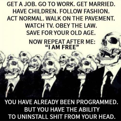 15f3bb5b-25b0-4d8a-9ca0-1c993f2f6c4f