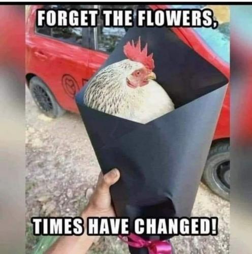 Fmy9zRxX0AA2PZp