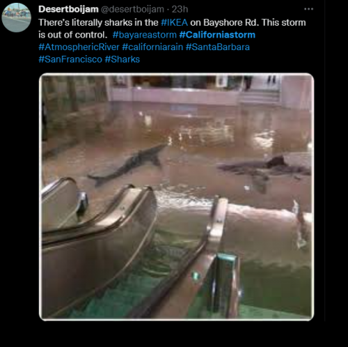 sharks in a mall)
