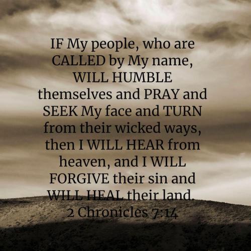 72bdb0e3-4089-4494-86d8-651ffb779e8e