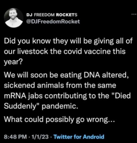 captures_chrome-capture-2023-0-5 (9)