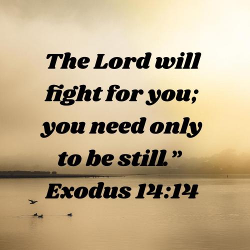 9c00c6d3-b702-4083-bed7-6a73e0067ec8