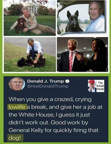 Screenshot_20230101-212934_Gallery