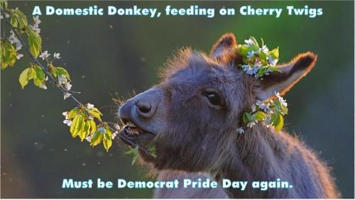 Democrat Pride Day