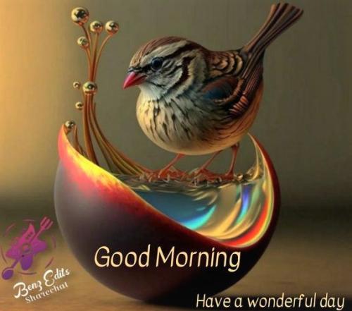 010623 - GM Bird