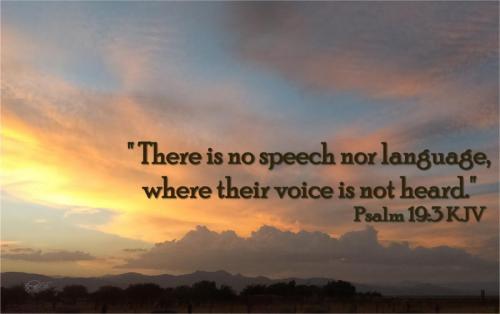No speech nor language
