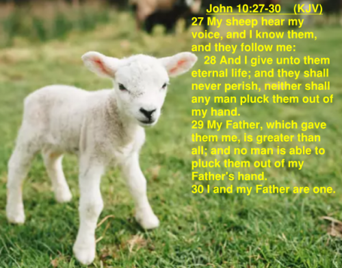 John 10.27